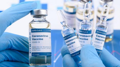 Photo credit: https://www.usatoday.com/story/news/health/2020/09/30/politics-cant-easily-hurt-safe-effective-covid-19-vaccine-mcclellan-offit-trump-fda/5870165002/