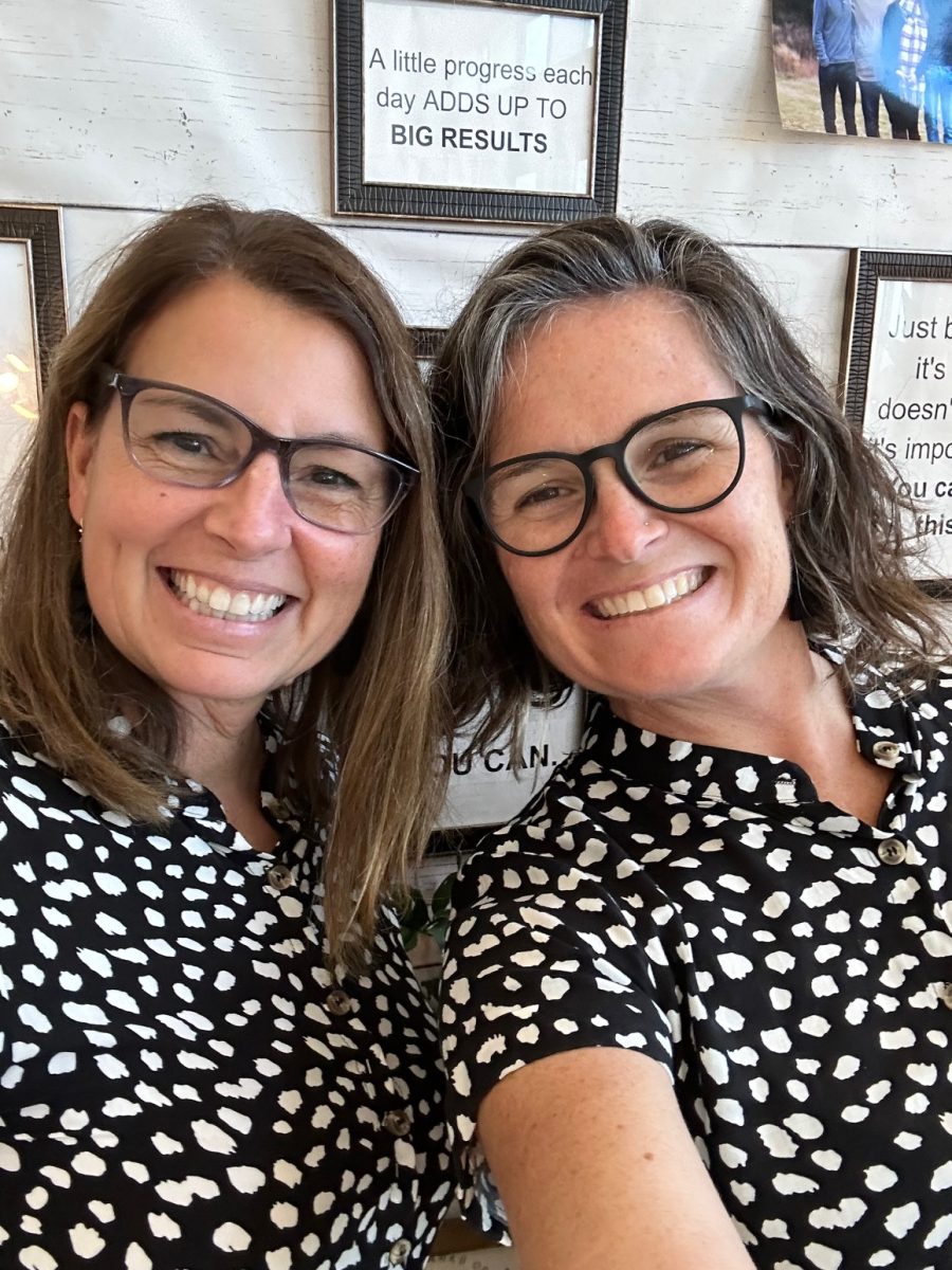 Seeing Double: Fitch’s Twinning Teachers