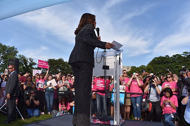 Why The Democratic Loss in 2024 Should Have Been a Surprise to None (And How to Move Forward)