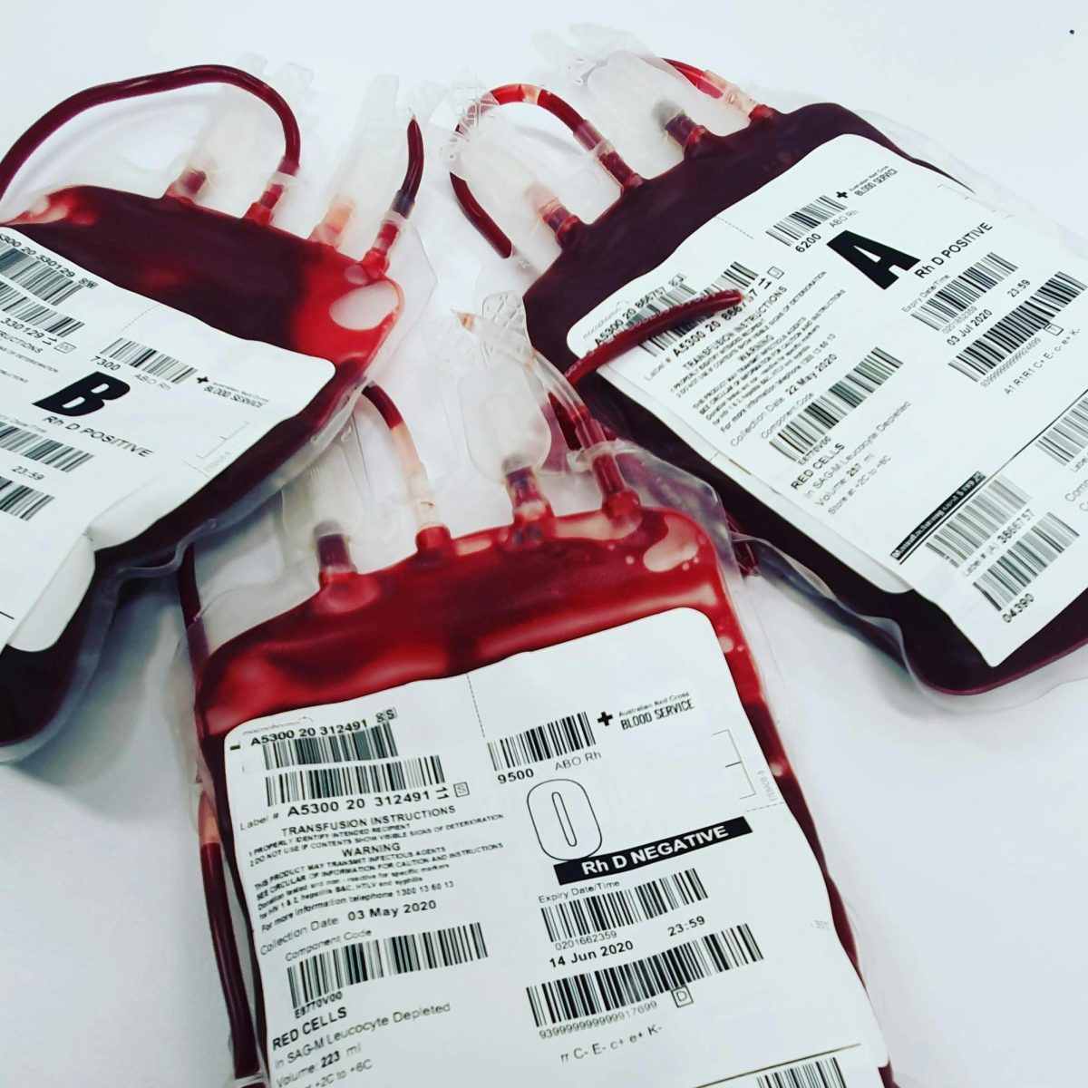 Keyettes Host Successful Blood Drive